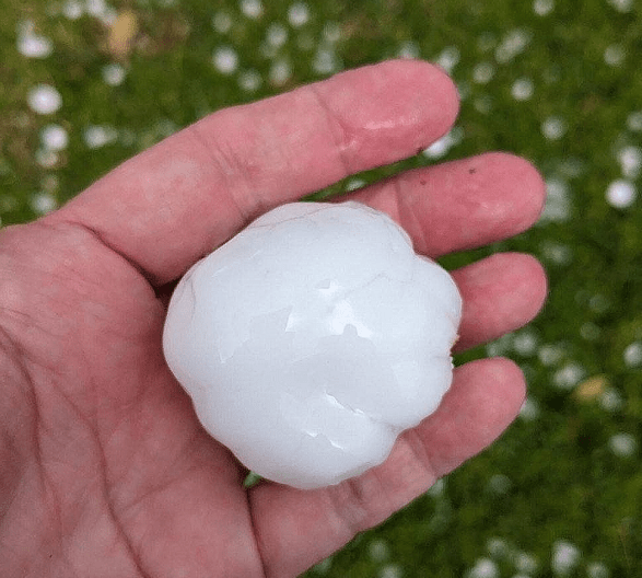 Roof with Insurance 1 image 6 Sun Sponge