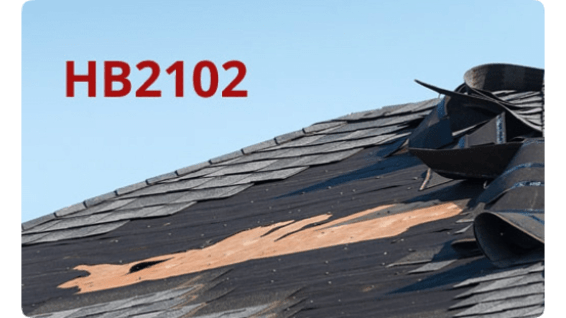 Untitled (10) Untitled 10 Sun Sponge